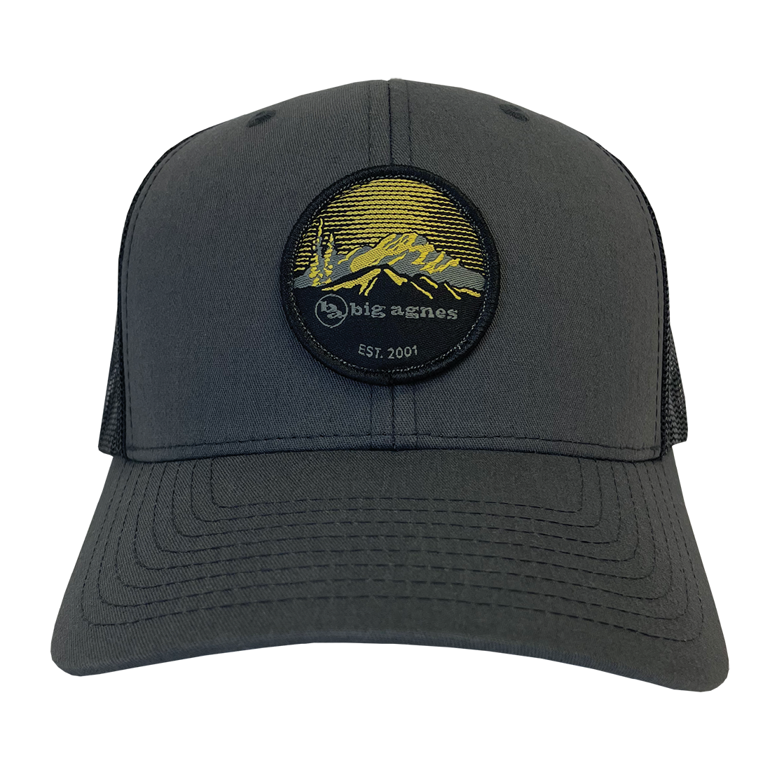 EST. 2001 Logo Baseball Hat OB