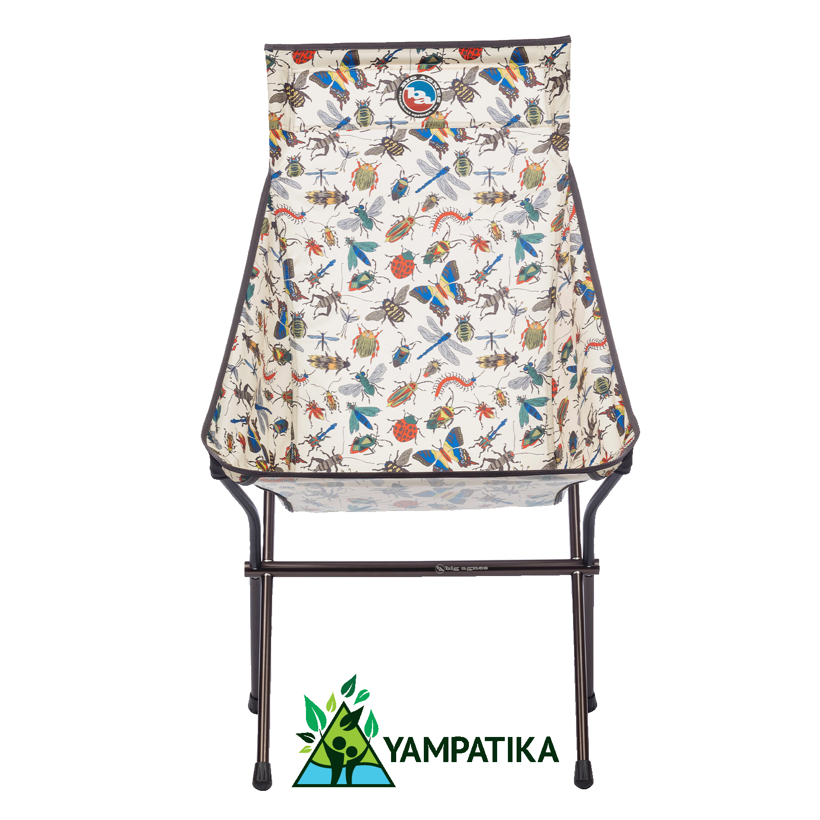 Big Six Camp Chair