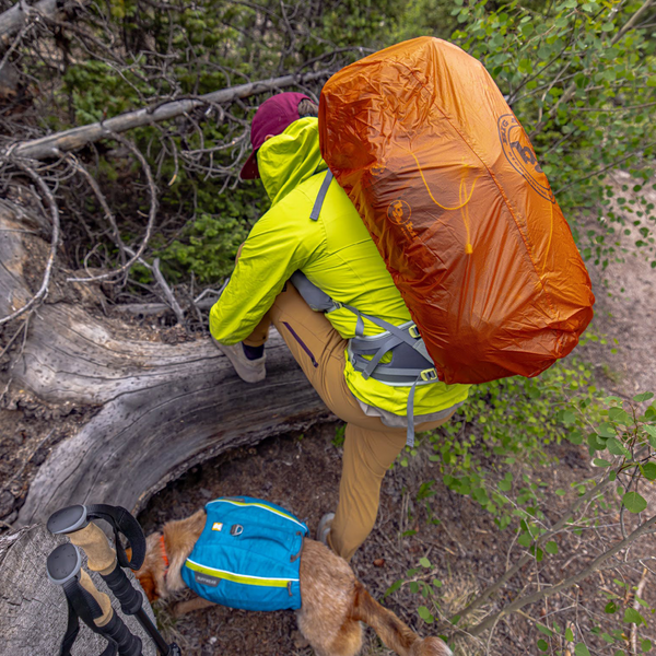 Hiker with an orange backpack and a dog in a forest