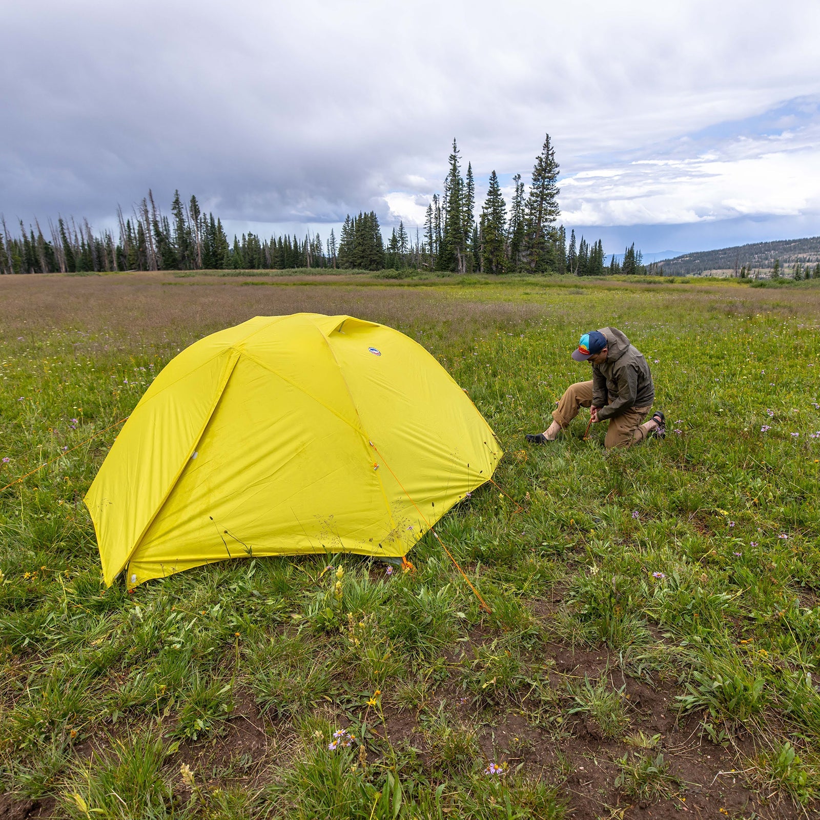 Blacktail 2 Rental