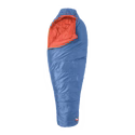 Cornflower