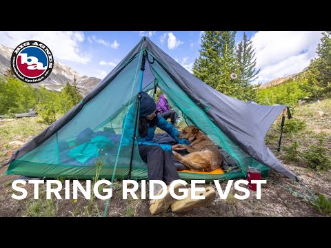 String Ridge VST 2.5